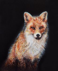 THE RED FOX PORTRAIT