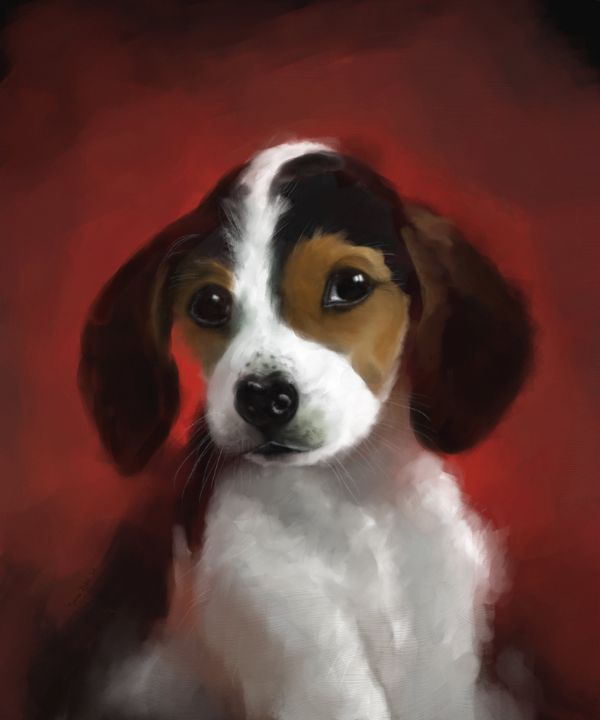 Cute puppy portrait - Tijana ARTStudio88 - Digital Art, Animals, Birds ...