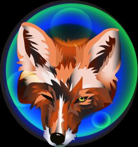 Fox gone rogue "Wink"