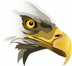 Eagle ever watching