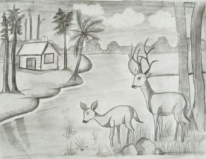 Two deer drinking water💧 - Krishna arts - Drawings & Illustration, Animals,  Birds, & Fish, Deer - ArtPal
