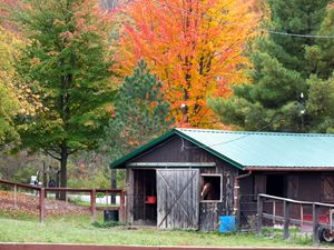 Fall at The Barn