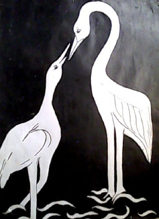 black and white - madushi