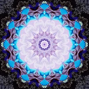 Mandala Art #11 - Renzy Star