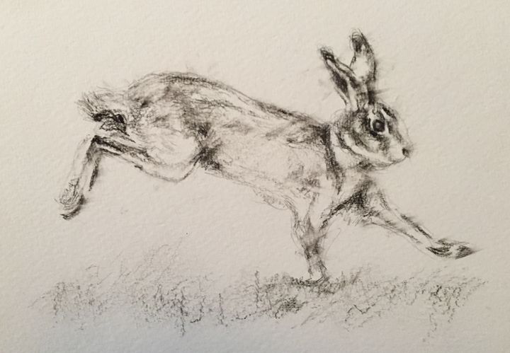 Charcoal Hare in motion - Kathryn Clifford
