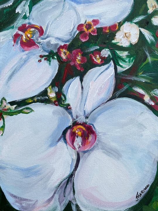 White Orchid - Jill Marino
