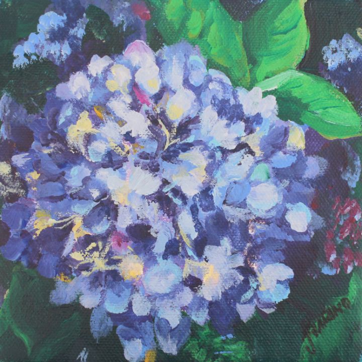 Blue Hydrangea - Jill Marino