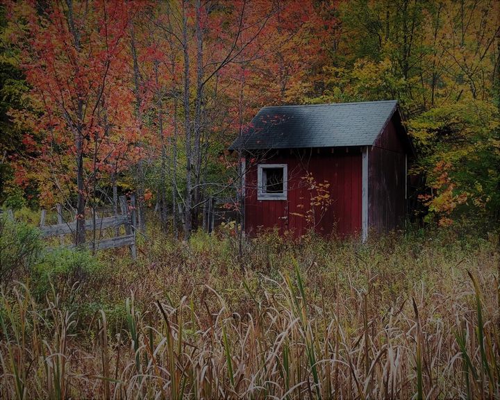 Shed in the Woods Fall Cantor Photography Photography, Landscapes & Nature, Paths & Trails