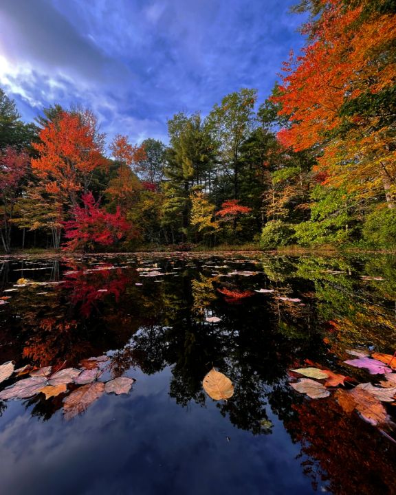 Autumn on the Pond - Cantor Photography