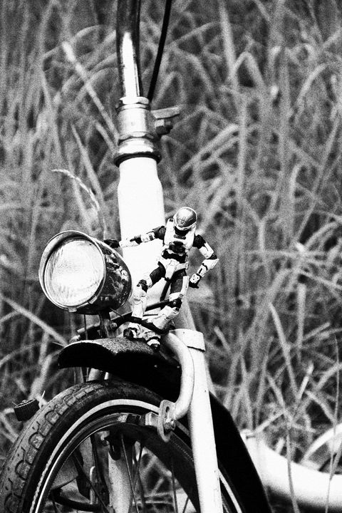 Bicycle - L'Vanneti