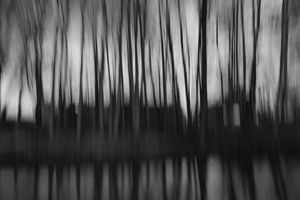 Black House