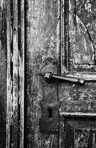 The Door