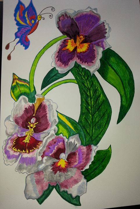 Orchid - BHUMIKA PANT