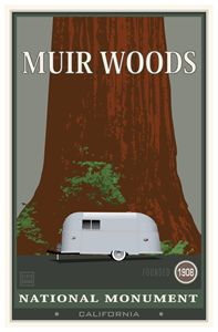 Muir Woods National Monument III