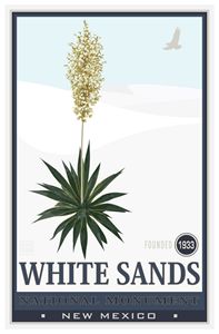 White Sands National Monument II