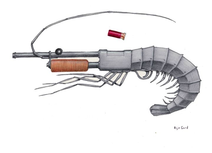 "Shotgun Shrimp" - Rijn Gard