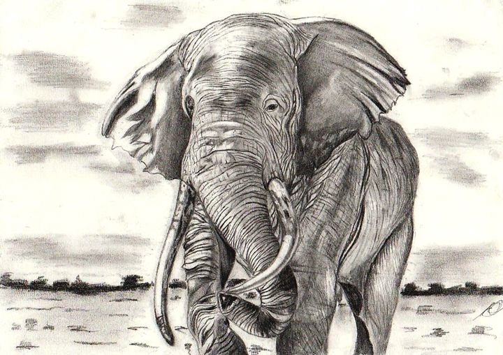 Lonely elephant - Arrun's fine art