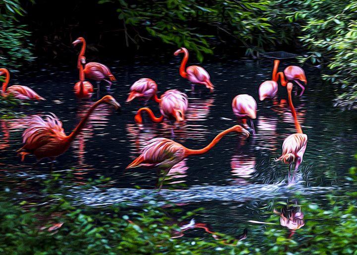 Pink flamingos in a pond - sergiopazorama