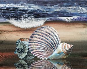 Three Seashells On Ocean Beach