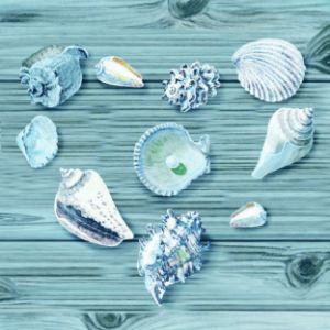 AWE #buy #seashell #Heart #painting