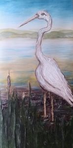 The Great Egret