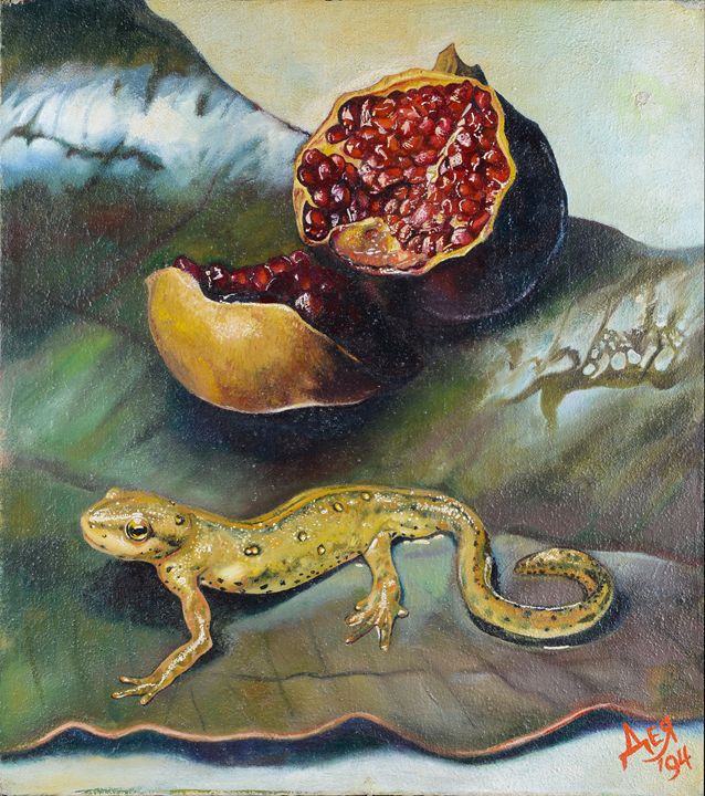 Salamander&pomegranate - Deia Simeonova-Art shop