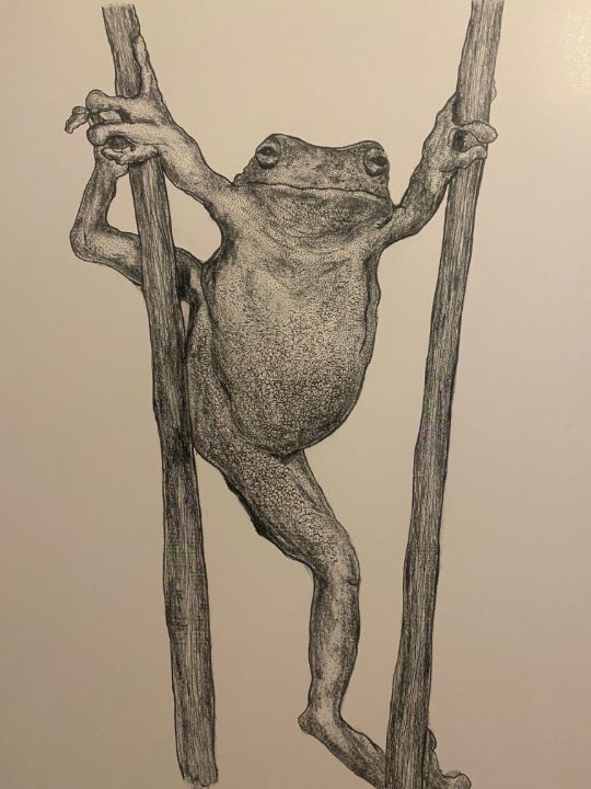Milt Kahl Pencil Sketch of a Frog Digital Art · Creative Fabrica