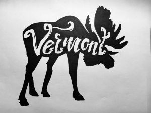 Moose of Vermont