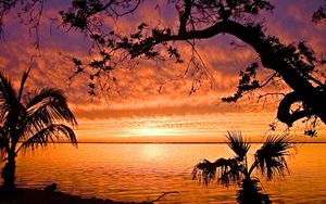 sunset in the Florida Keys
