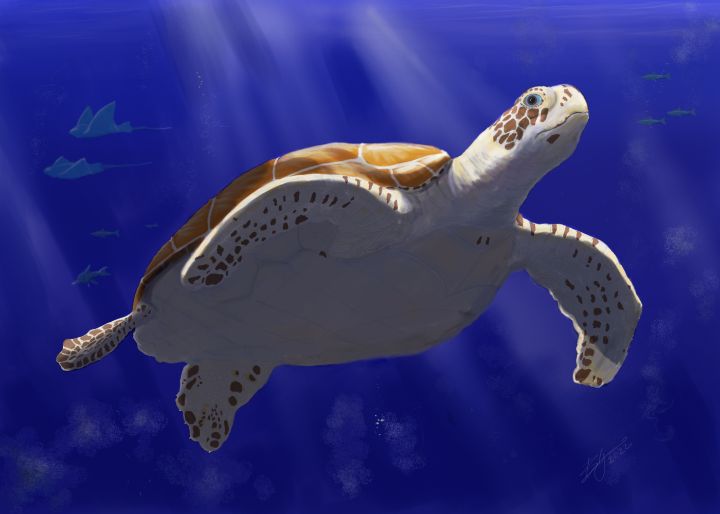 Sea Turtle - DigitalArt