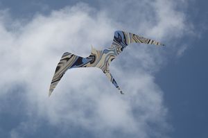 The Spirit of Frigate Bird
