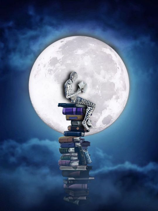 moonlight reader