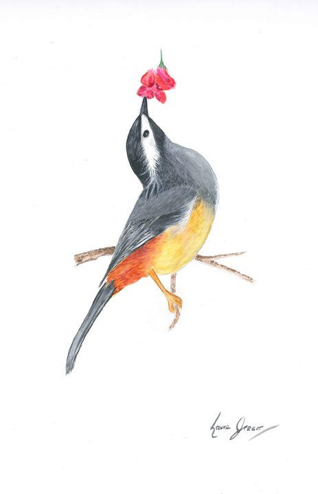 Ornate Bird Stock Illustrations – 42,810 Ornate Bird Stock Illustrations,  Vectors & Clipart - Dreamstime