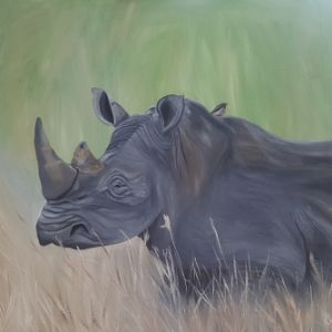 Save the Rhino - Maretha du Preez