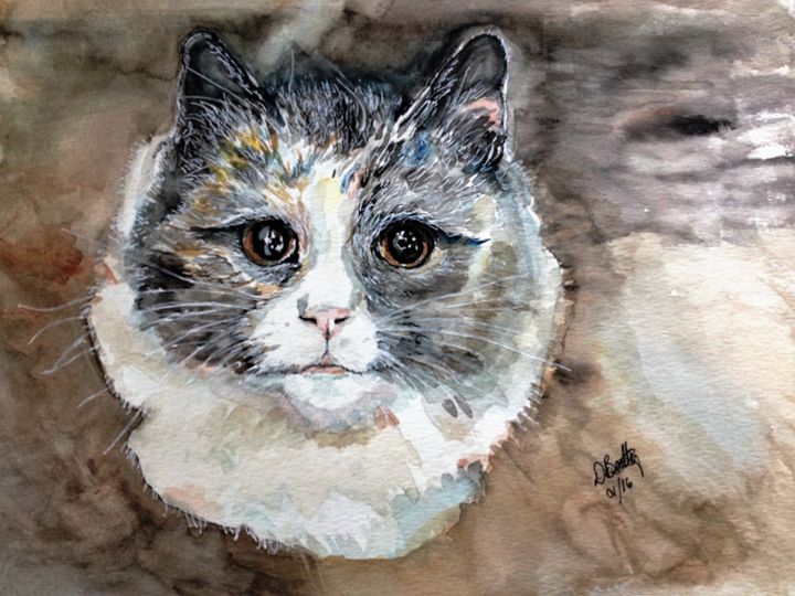 Pretty Kitty - Out of Darkness: Diane Beatty - Paintings & Prints ...