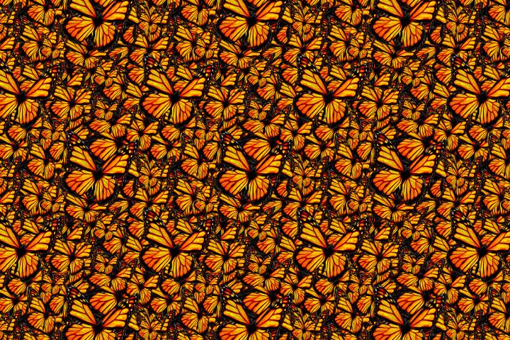 butterflies seamless swatch 02 - ego eimi graphics - Digital Art ...