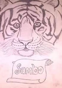 pencil drawn tiger