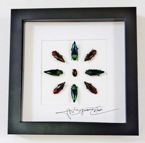 Design beetles