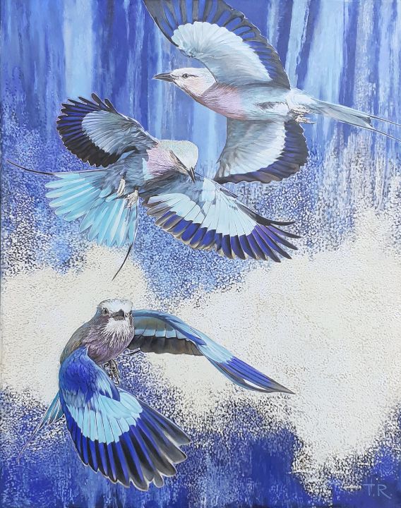 Lilac Breasted Roller Drawing Lilac Breasted Roller Coracias