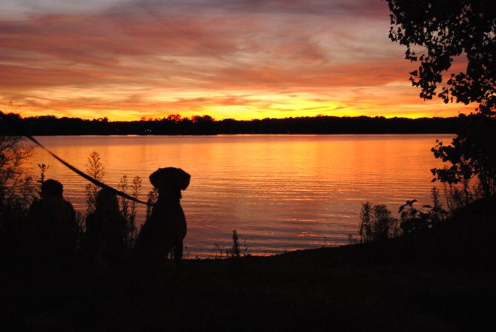 Dog and Sunset - Shawna Hunter - Photography, Landscapes & Nature