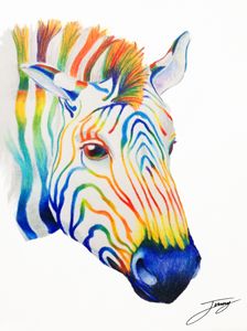 rainbow-zebra, Connor Vick