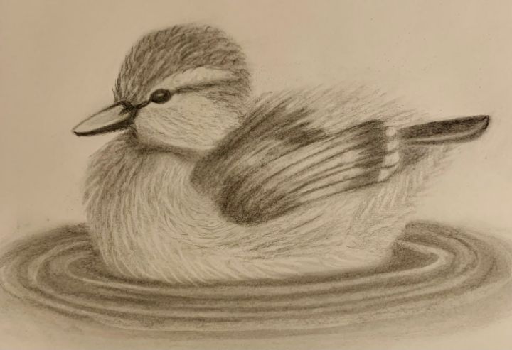 Duckling - K_athalyna Artwork - Drawings & Illustration, Animals, Birds, &  Fish, Birds, Ducks & Loons, Other Ducks & Loons - ArtPal