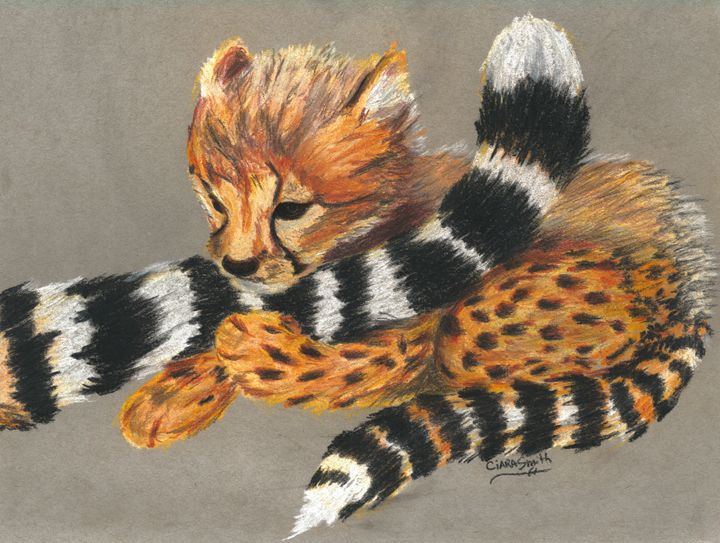 how to draw a cheetah cub
