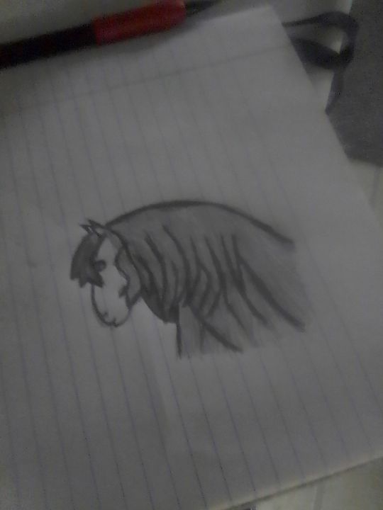 Horse - Adriana's drawing
