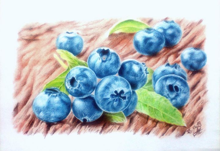 Blueberry Drawing - Step By Step Tutorial - Cool Drawing Idea