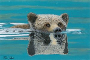 Koala Bear - JB Creative - Paintings & Prints, Animals, Birds, & Fish, Bears,  Other Bears - ArtPal