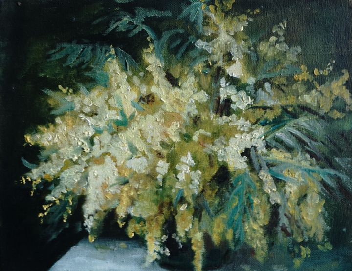 Mimosa in vase - Raaya