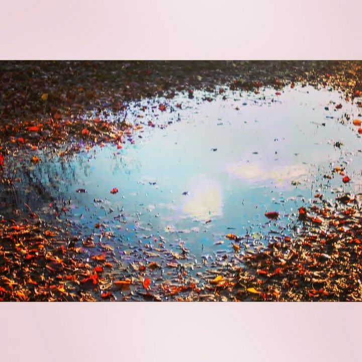 Autumn Cloud Reflection - UHaveAnEye4Art
