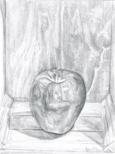 Graphite Drawing of an Apple. - J Eneas Art
