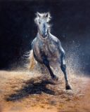 FREEDOME - Wildhorse series
